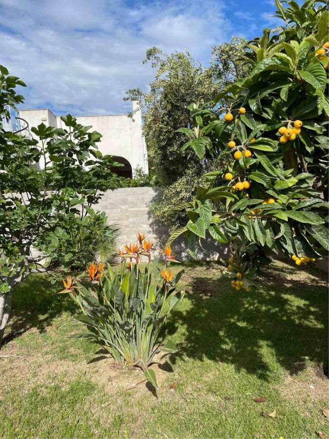 Anire Holiday home *